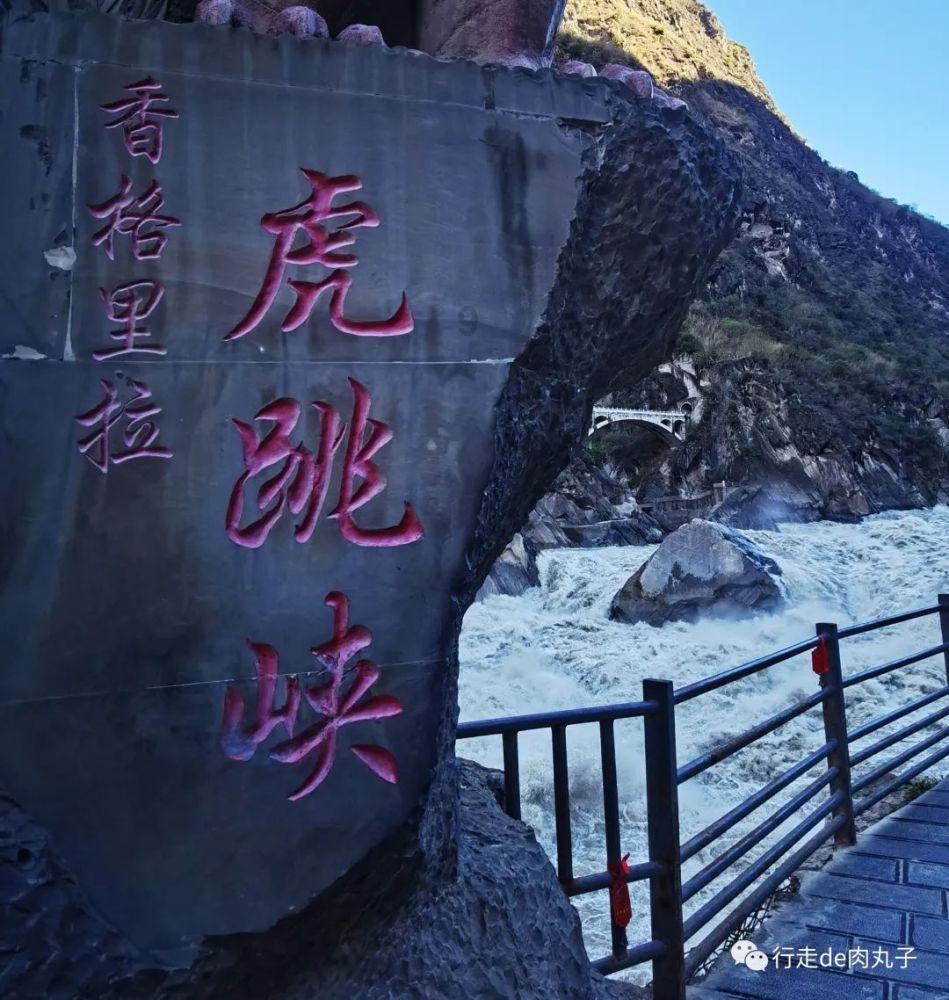 16区在行动｜东丽区区长李春：发挥好“链主”企业作用 促进科创绿谷都市新区建设 扫码阅读手机版