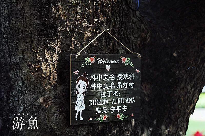 荒野大镖客2